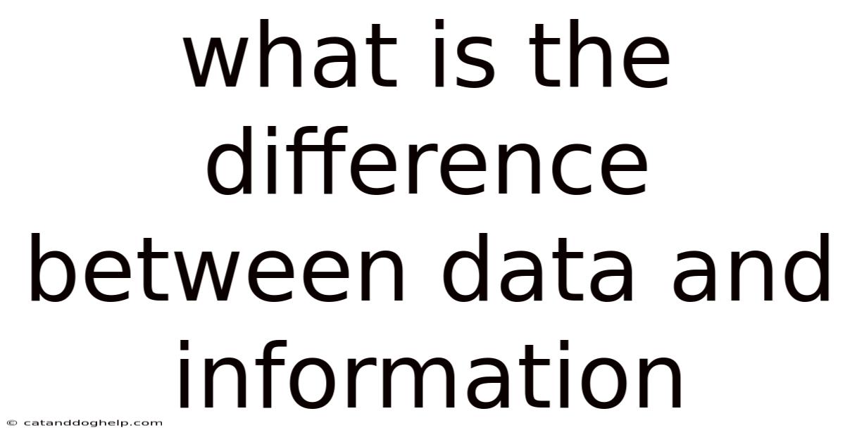 What Is The Difference Between Data And Information