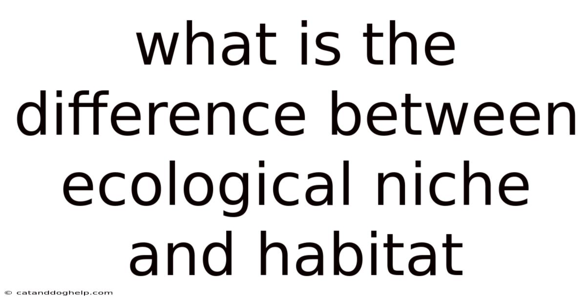 What Is The Difference Between Ecological Niche And Habitat