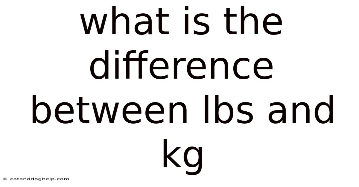 What Is The Difference Between Lbs And Kg