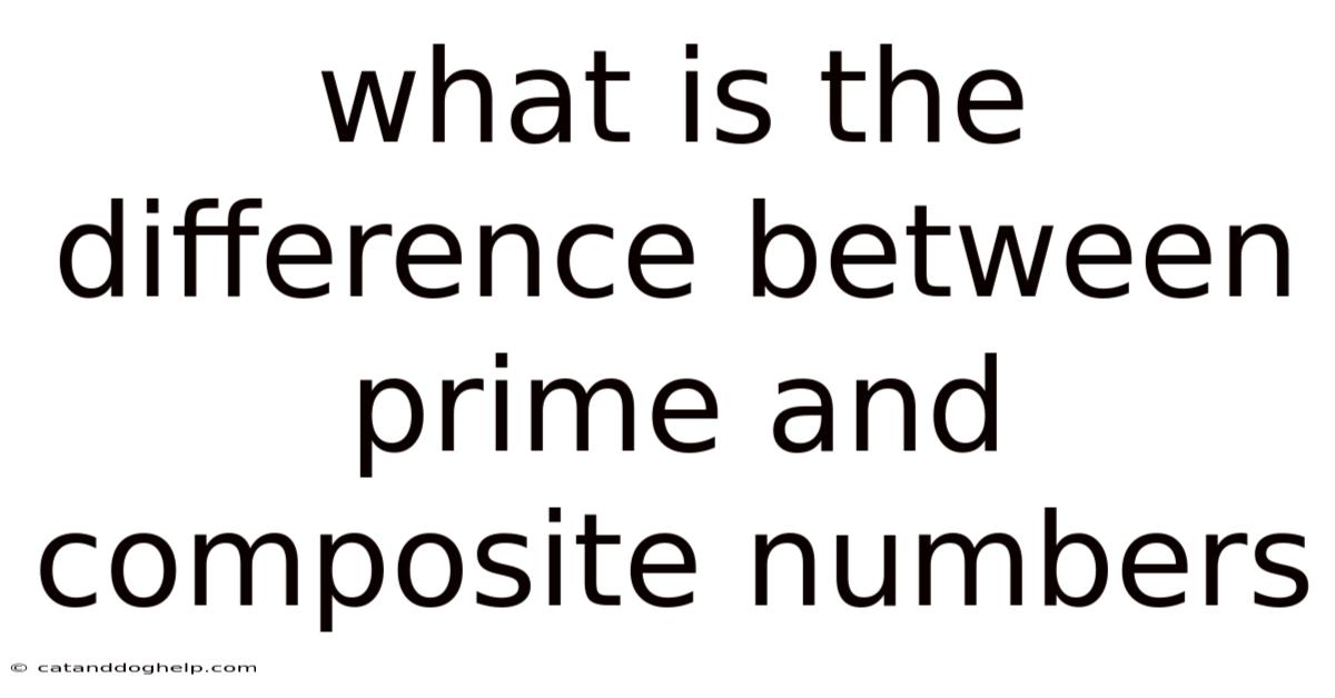 What Is The Difference Between Prime And Composite Numbers