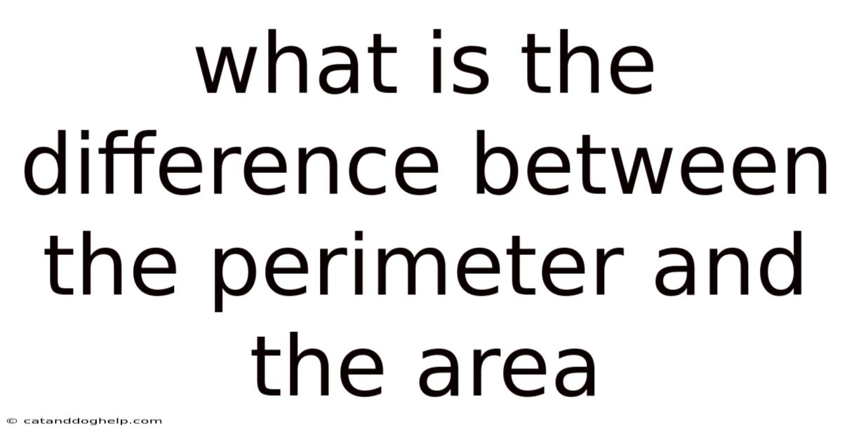 What Is The Difference Between The Perimeter And The Area
