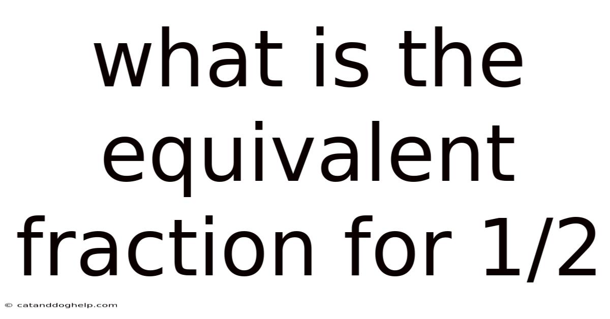 What Is The Equivalent Fraction For 1/2