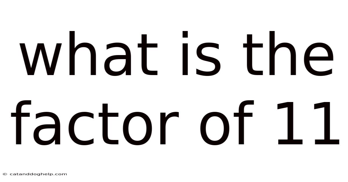What Is The Factor Of 11