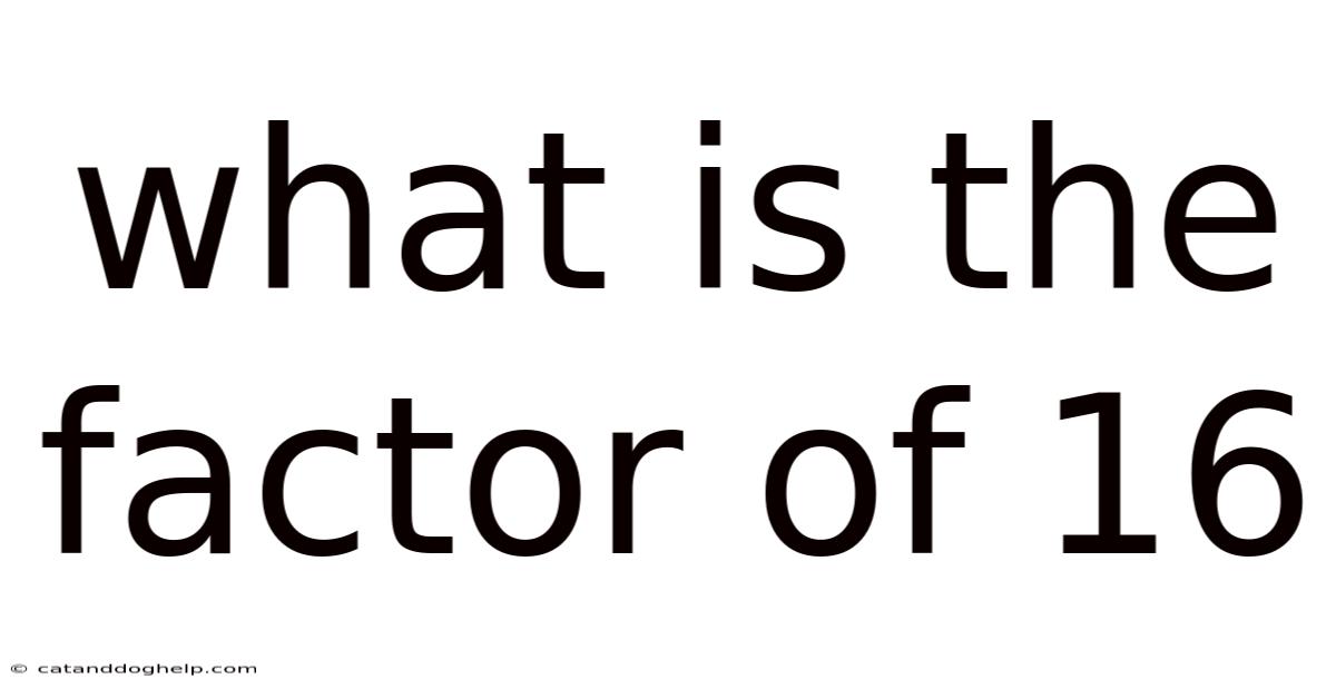 What Is The Factor Of 16