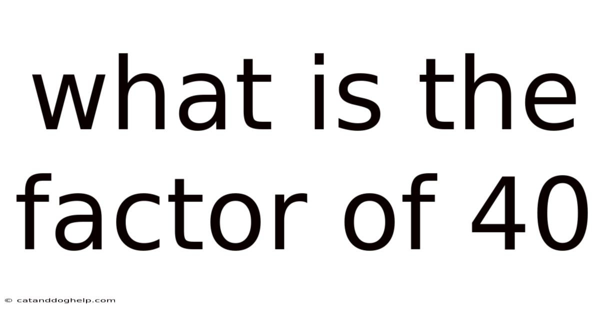 What Is The Factor Of 40