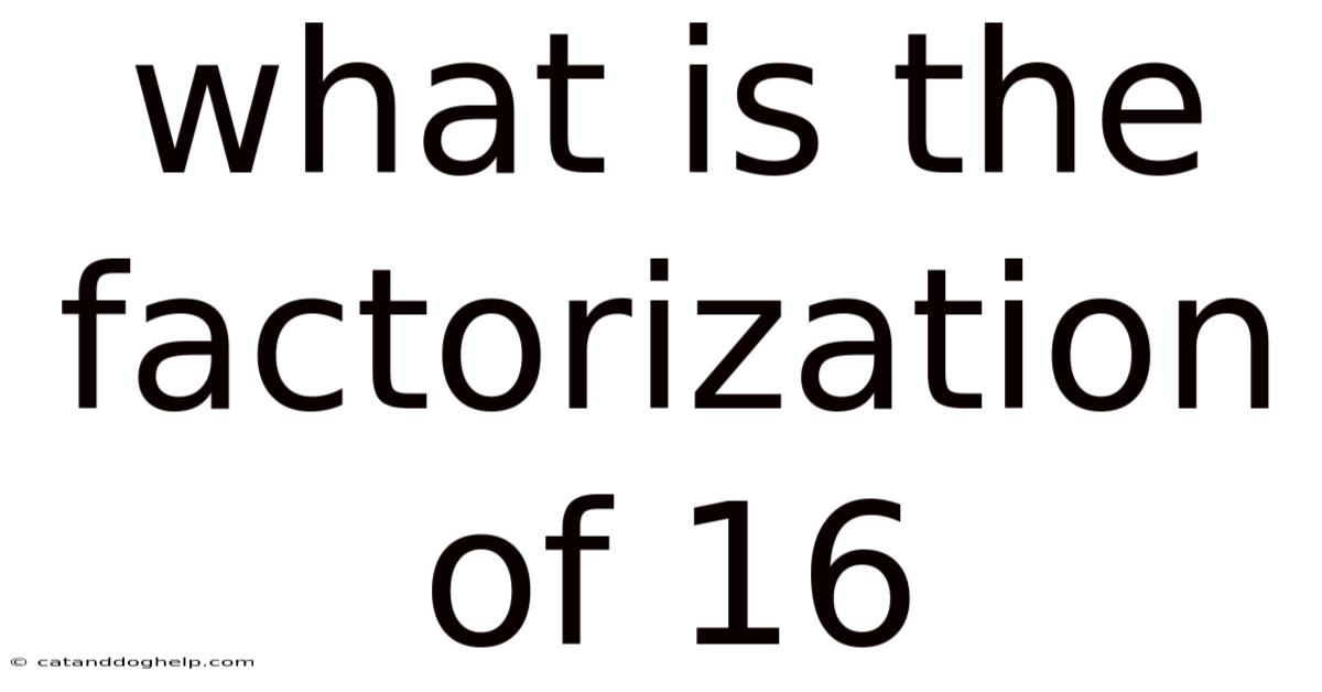 What Is The Factorization Of 16