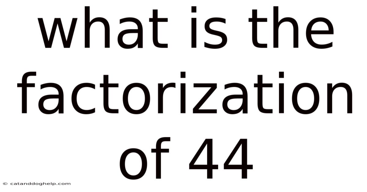What Is The Factorization Of 44