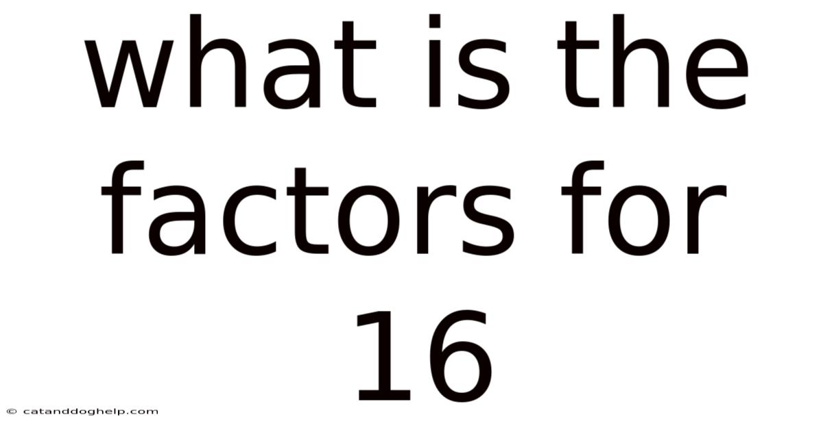 What Is The Factors For 16