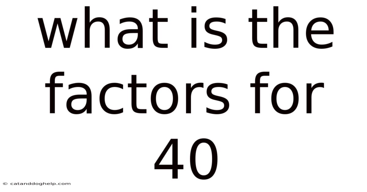 What Is The Factors For 40