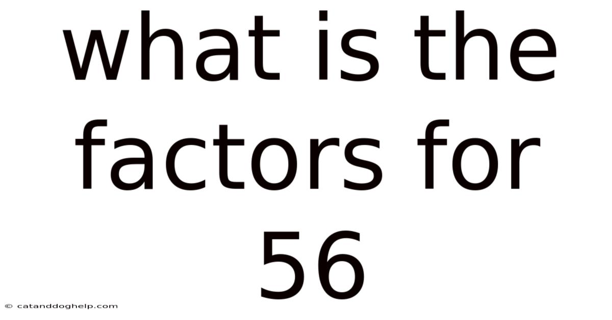 What Is The Factors For 56