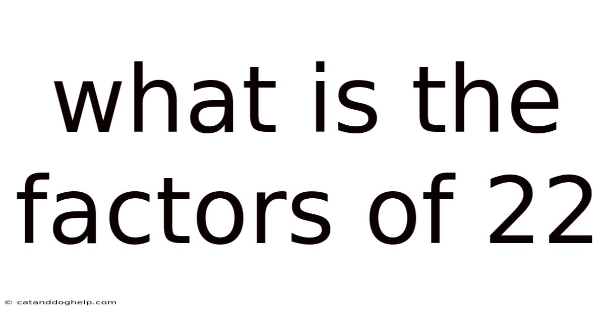 What Is The Factors Of 22