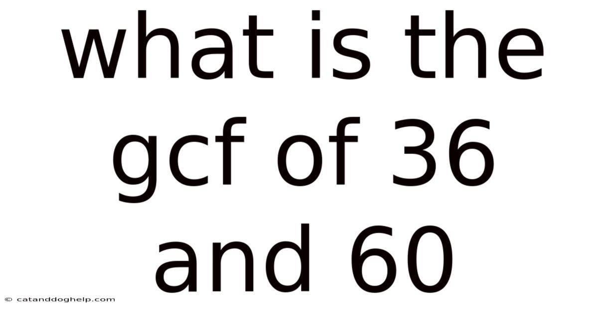 What Is The Gcf Of 36 And 60