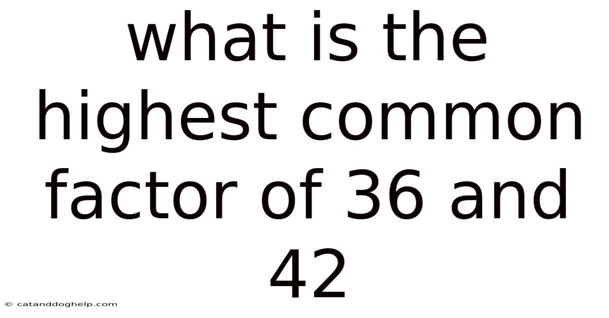 What Is The Highest Common Factor Of 36 And 42
