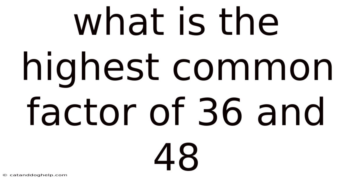 What Is The Highest Common Factor Of 36 And 48