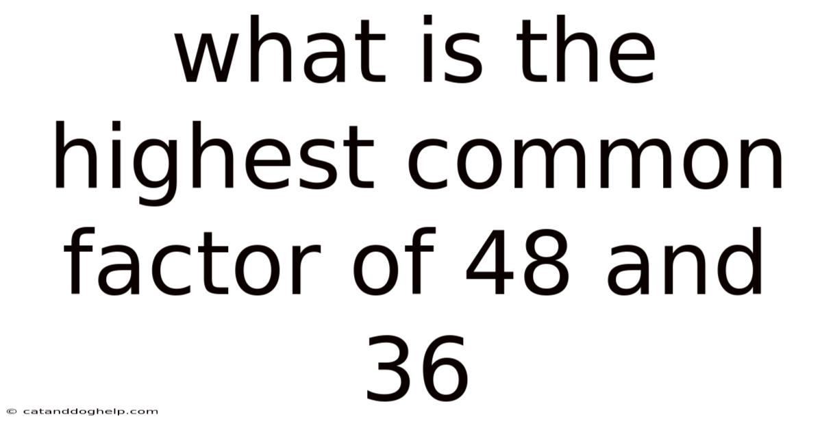 What Is The Highest Common Factor Of 48 And 36