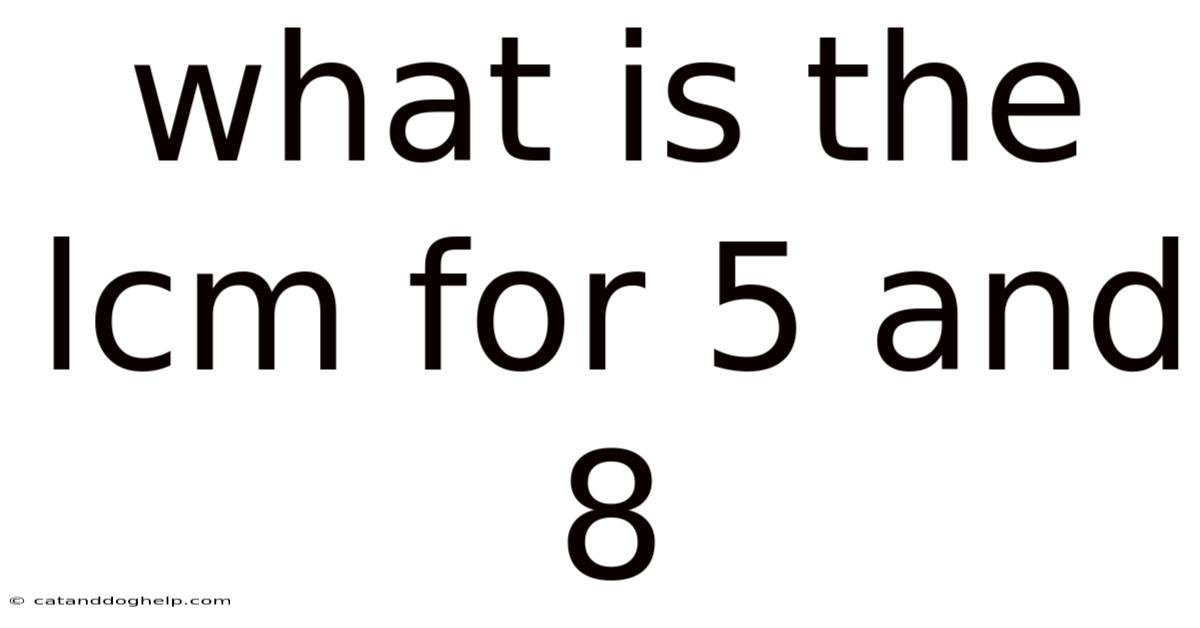 What Is The Lcm For 5 And 8