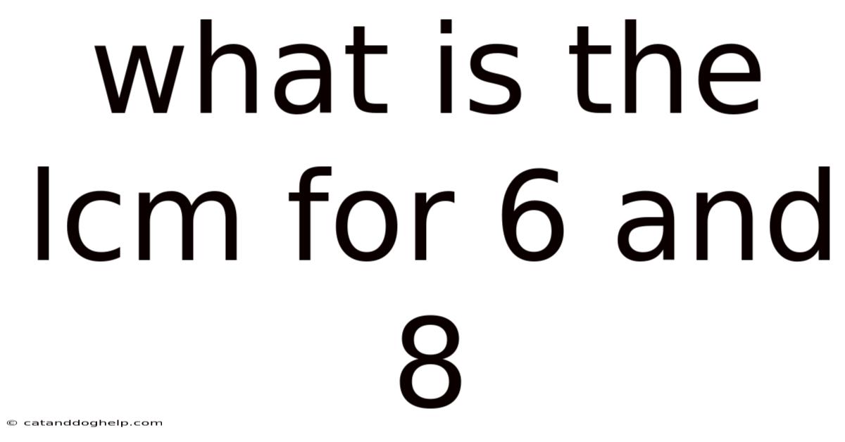 What Is The Lcm For 6 And 8