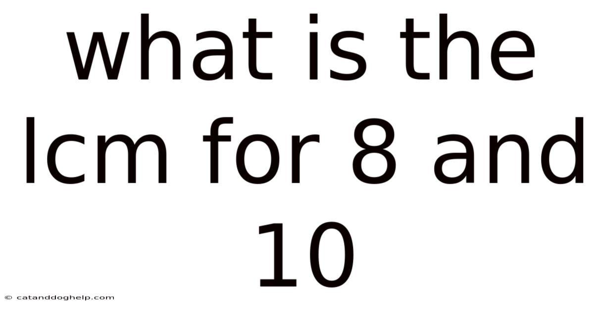 What Is The Lcm For 8 And 10