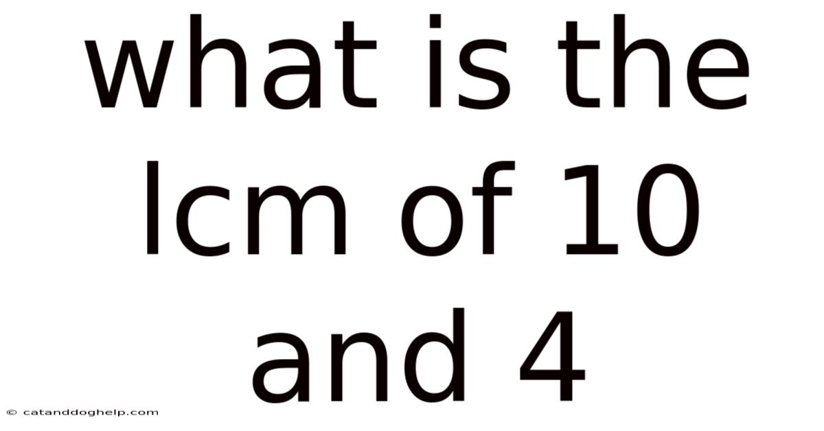 What Is The Lcm Of 10 And 4