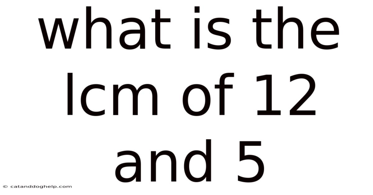 What Is The Lcm Of 12 And 5