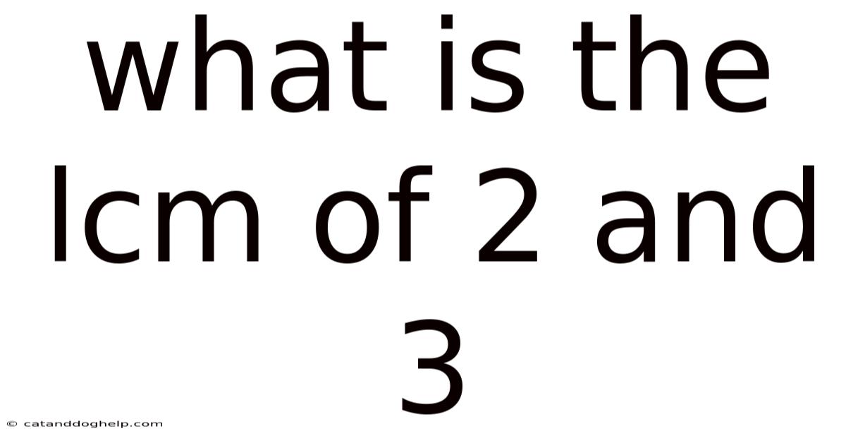 What Is The Lcm Of 2 And 3