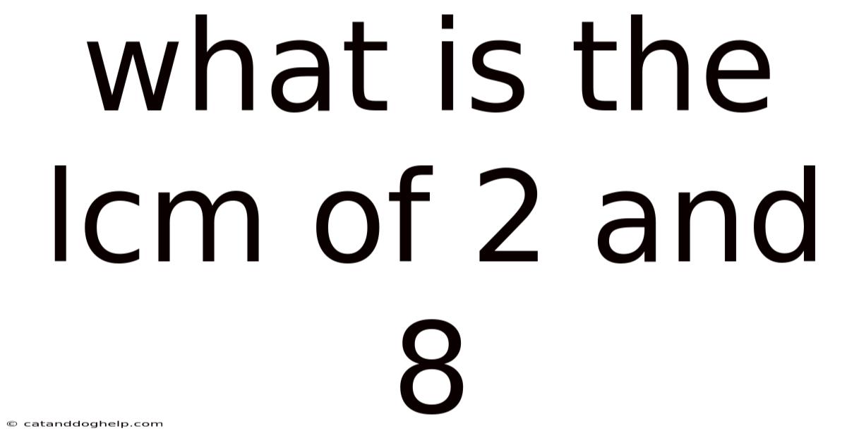 What Is The Lcm Of 2 And 8