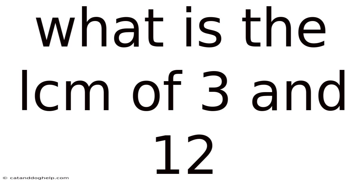 What Is The Lcm Of 3 And 12