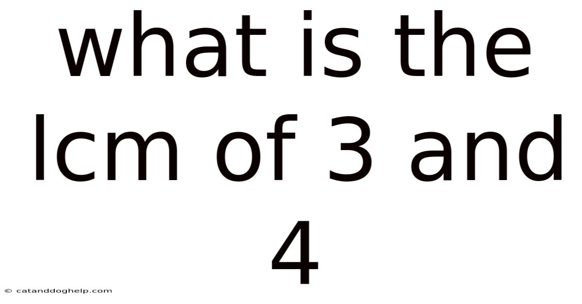 What Is The Lcm Of 3 And 4