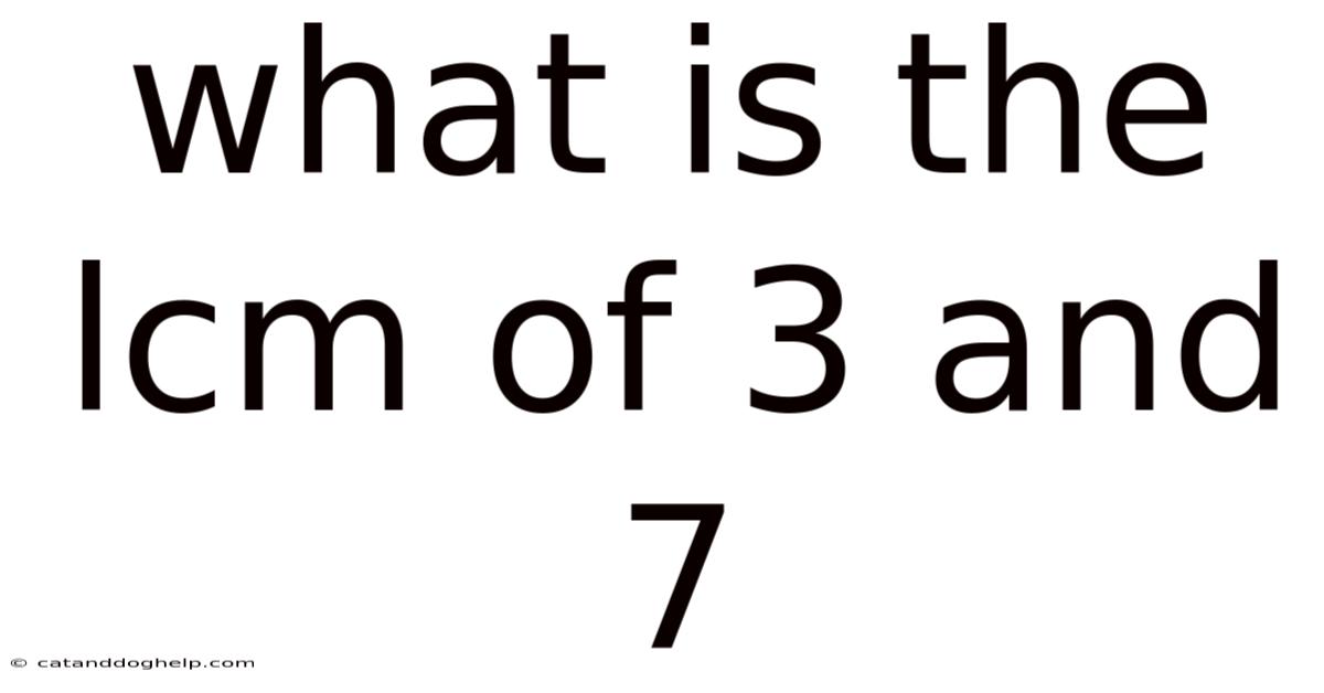 What Is The Lcm Of 3 And 7
