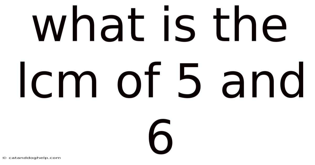 What Is The Lcm Of 5 And 6