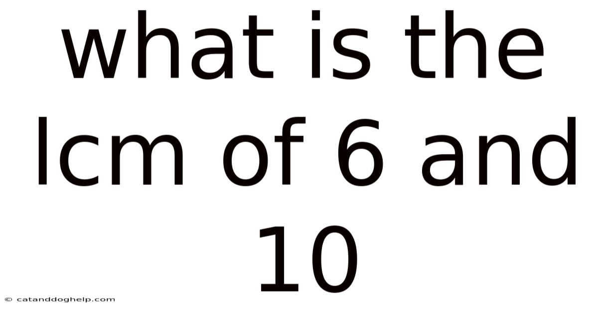 What Is The Lcm Of 6 And 10