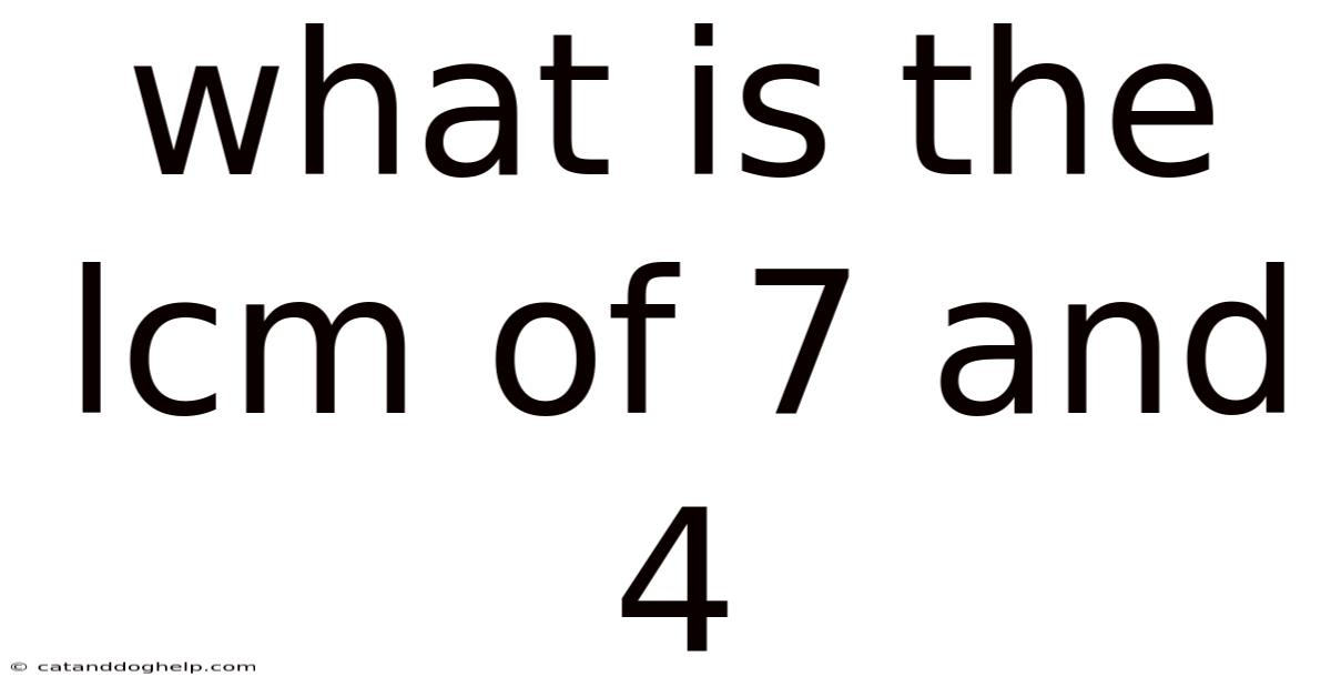 What Is The Lcm Of 7 And 4
