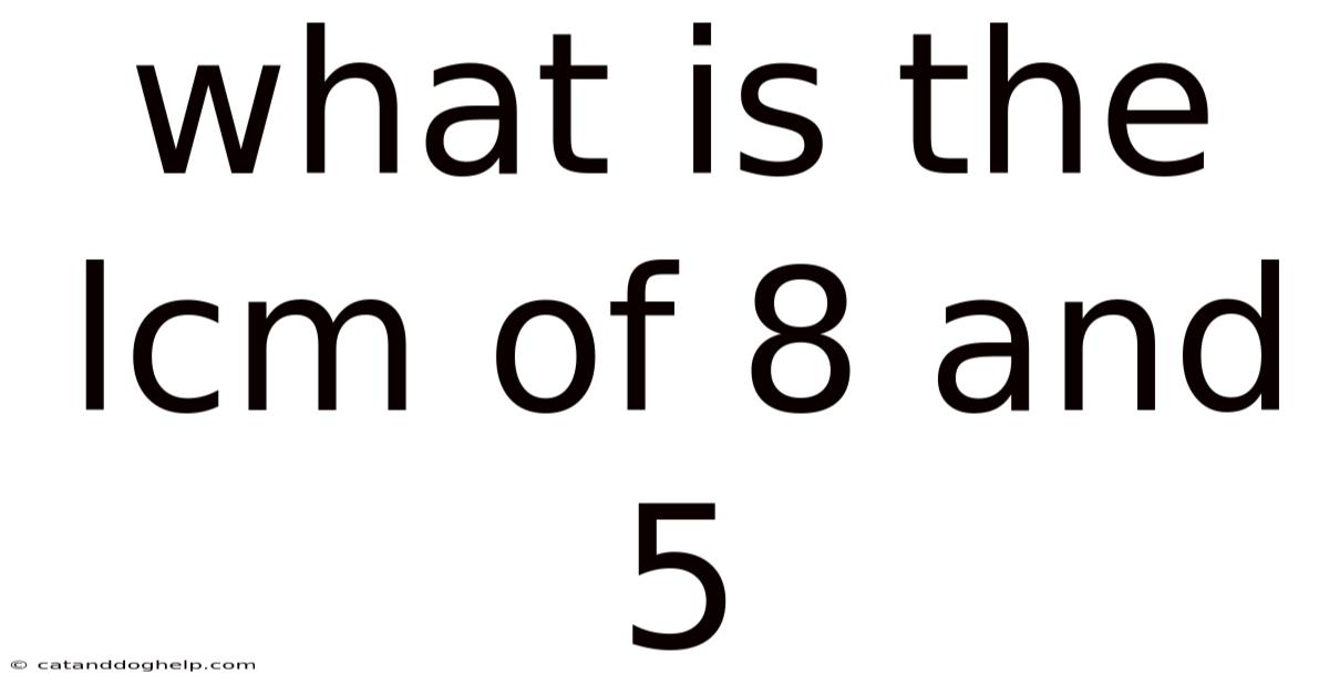 What Is The Lcm Of 8 And 5