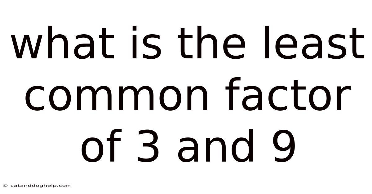 What Is The Least Common Factor Of 3 And 9