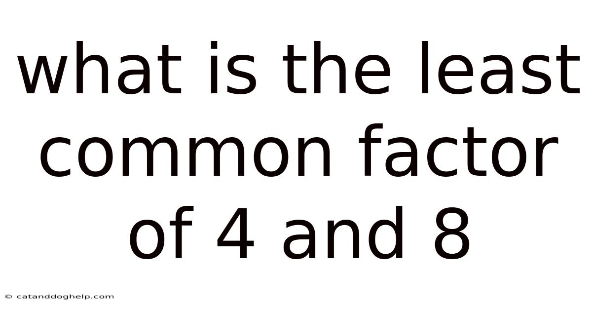 What Is The Least Common Factor Of 4 And 8