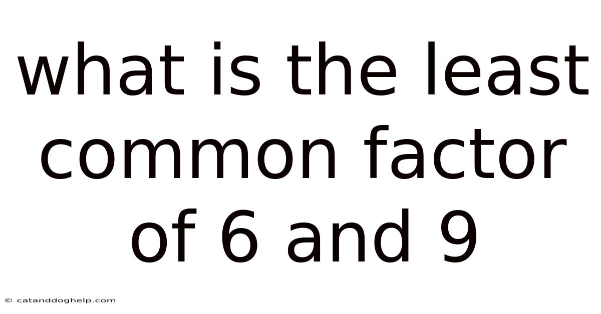 What Is The Least Common Factor Of 6 And 9