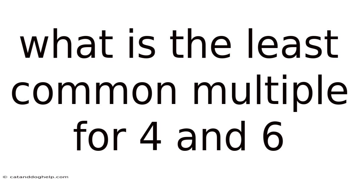 What Is The Least Common Multiple For 4 And 6