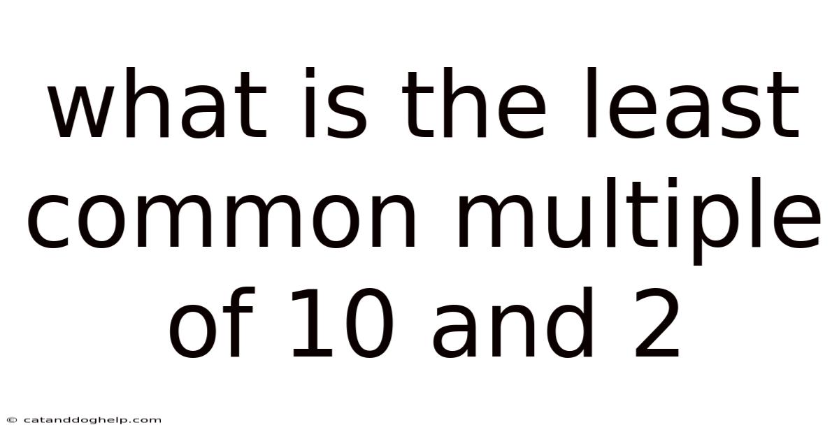 What Is The Least Common Multiple Of 10 And 2