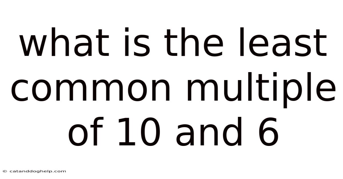 What Is The Least Common Multiple Of 10 And 6