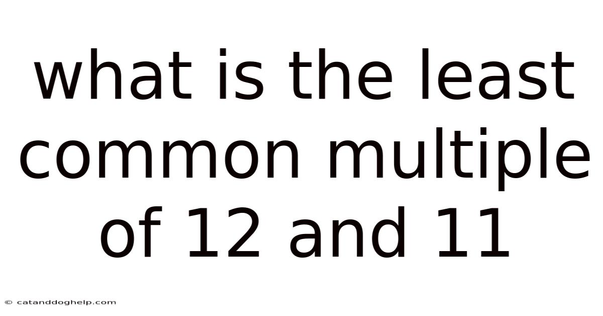 What Is The Least Common Multiple Of 12 And 11