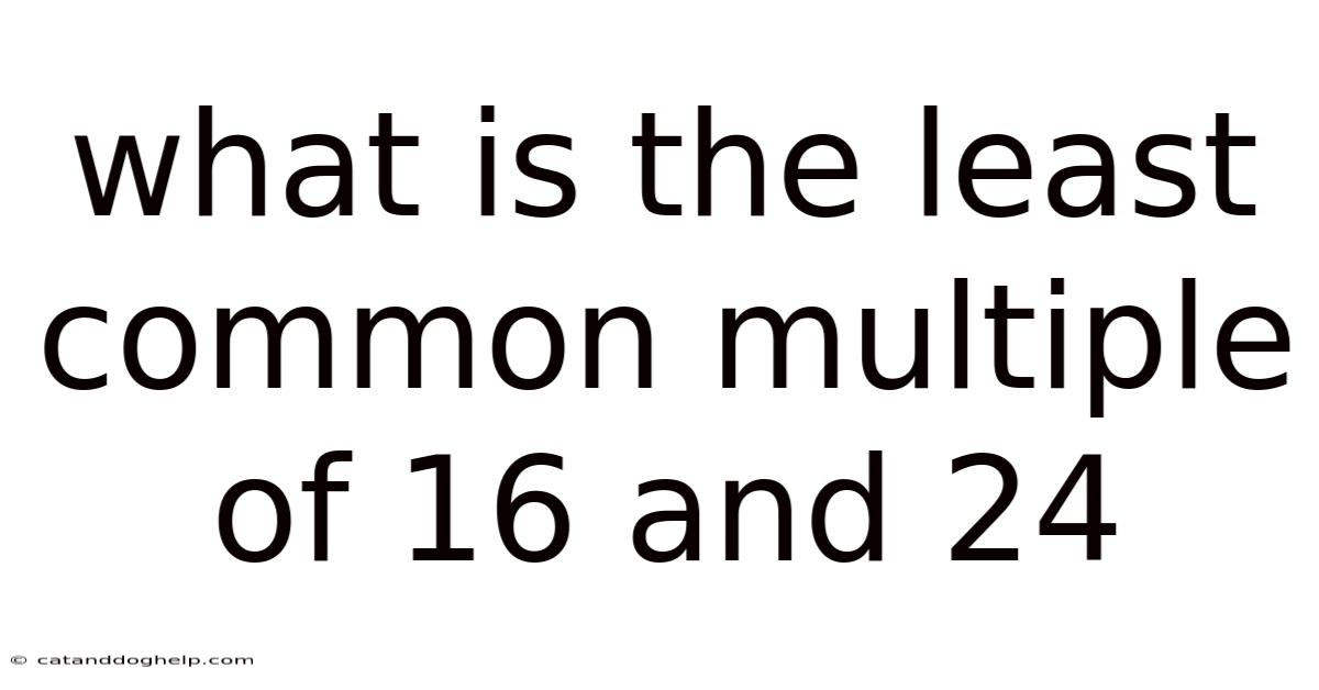 What Is The Least Common Multiple Of 16 And 24