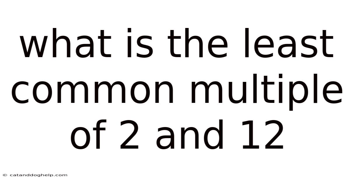 What Is The Least Common Multiple Of 2 And 12