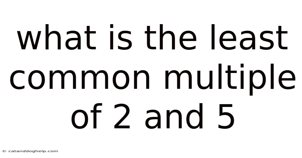 What Is The Least Common Multiple Of 2 And 5