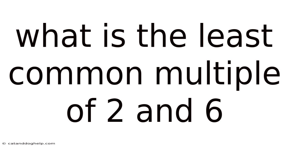 What Is The Least Common Multiple Of 2 And 6