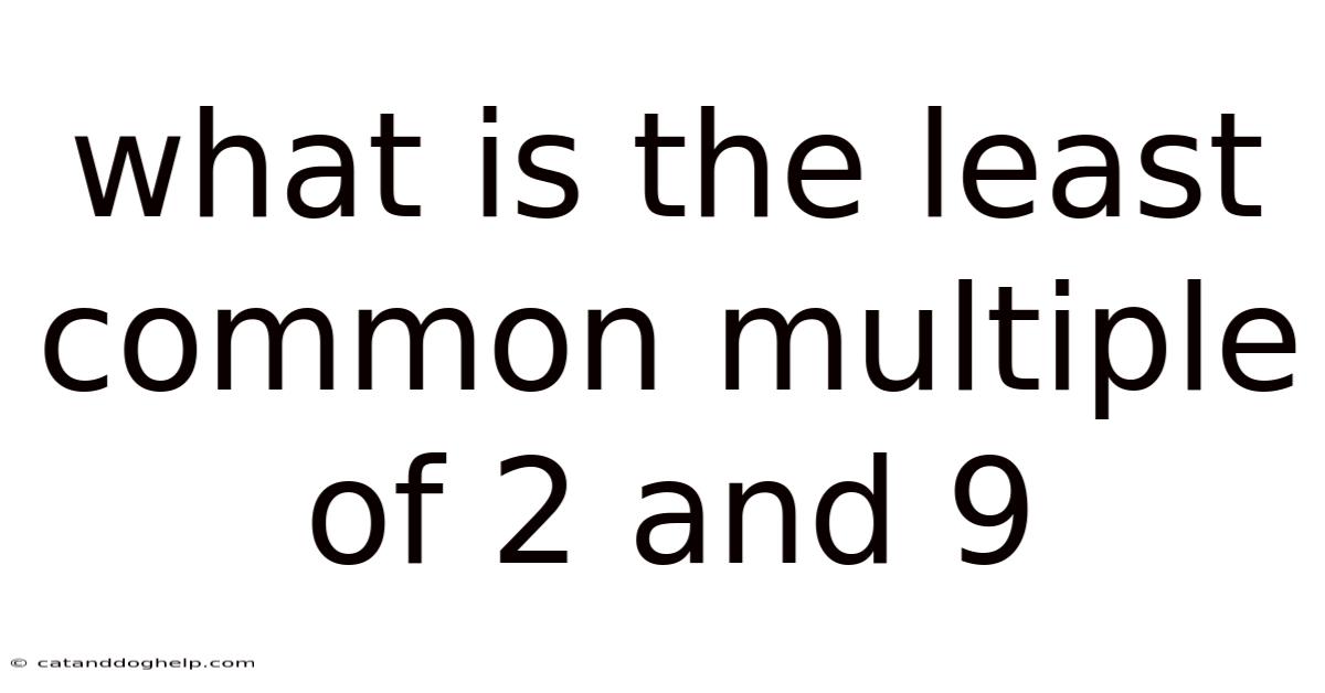 What Is The Least Common Multiple Of 2 And 9
