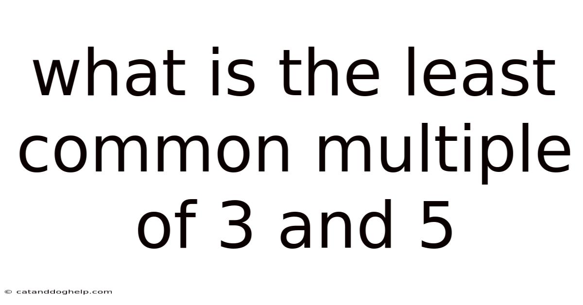 What Is The Least Common Multiple Of 3 And 5