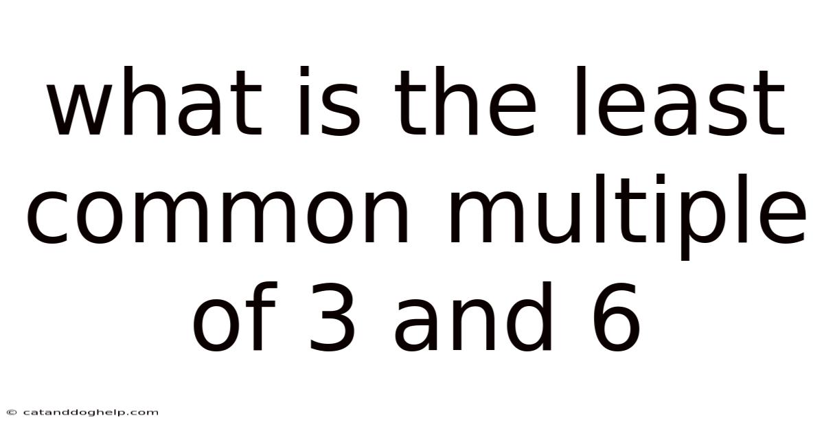 What Is The Least Common Multiple Of 3 And 6