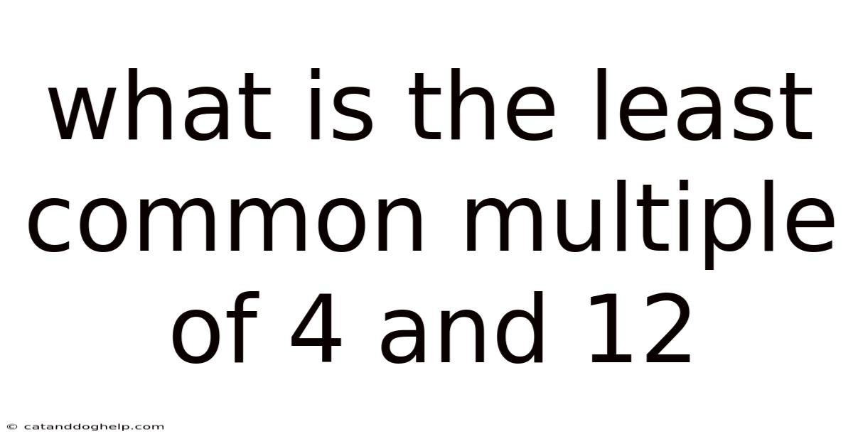 What Is The Least Common Multiple Of 4 And 12