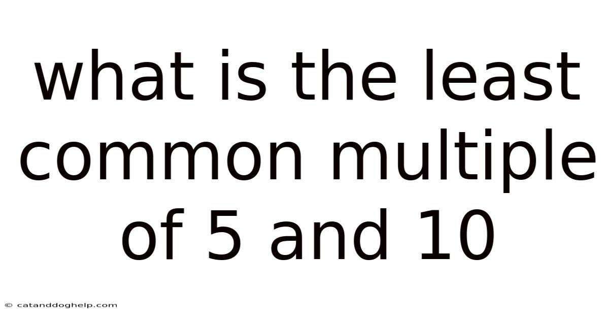 What Is The Least Common Multiple Of 5 And 10