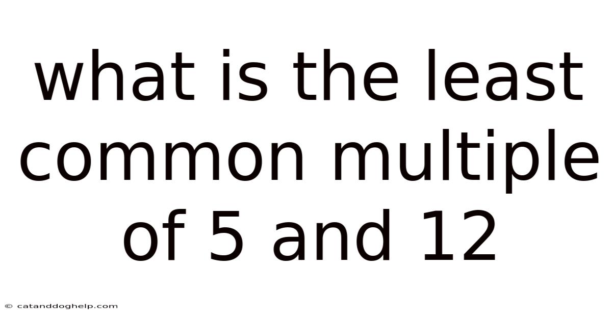 What Is The Least Common Multiple Of 5 And 12